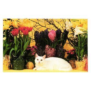 Vintage North Shore Animal League Cat Postcard By Mary Bloom